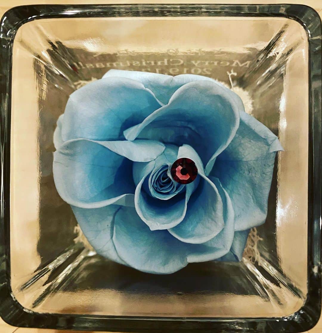 のインスタグラム：「🥀🔮」