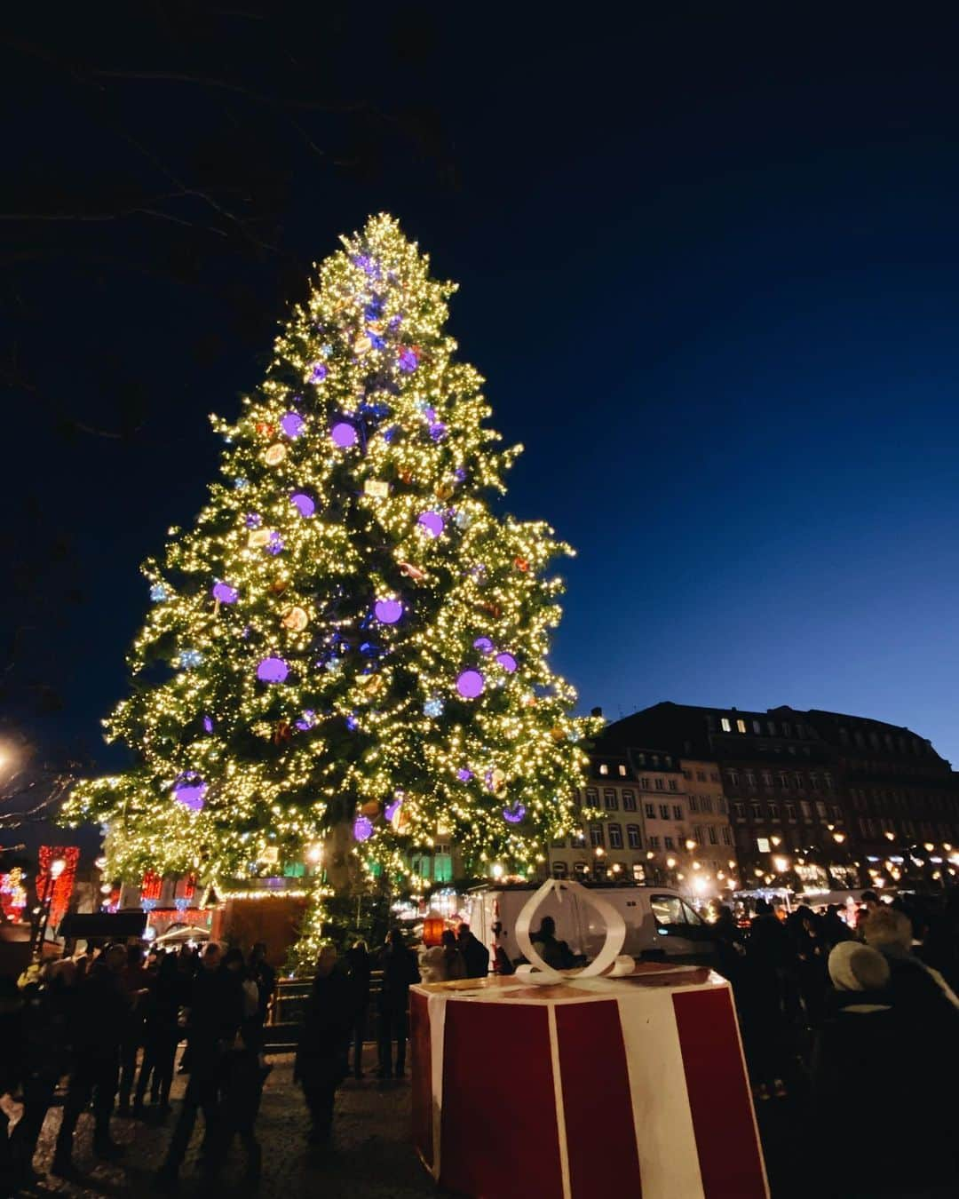 白澤貴子さんのインスタグラム写真 - (白澤貴子Instagram)「Special Christmas night with my family in Strasbourg✨  フランスではクリスマスの首都と呼ばれ、フランス最古でヨーロッパ最大級のクリスマスマーケットがあるといえばストラスブール！  今回この町に私たちが寄ったのもここのクリスマスを堪能するため。  小さな町に11箇所開かれていると言われるマルシェドノエルをほぼ全部回って、ホットアップルジュースやショコラショーを飲み、シュークルートを食べ、これまでの人生で1番美味しい自家製チョコレートに出会い、シンボルの30mのクリスマスツリーのふもとで陽気な音楽を聴き…  大都市のように煌びやかすぎず、でも活気づいた特別な空気感がとても心地よかった。  #白澤とアルザス #strasbourg #strasbourgchristmasmarket」12月26日 0時56分 - takakoshirasawa