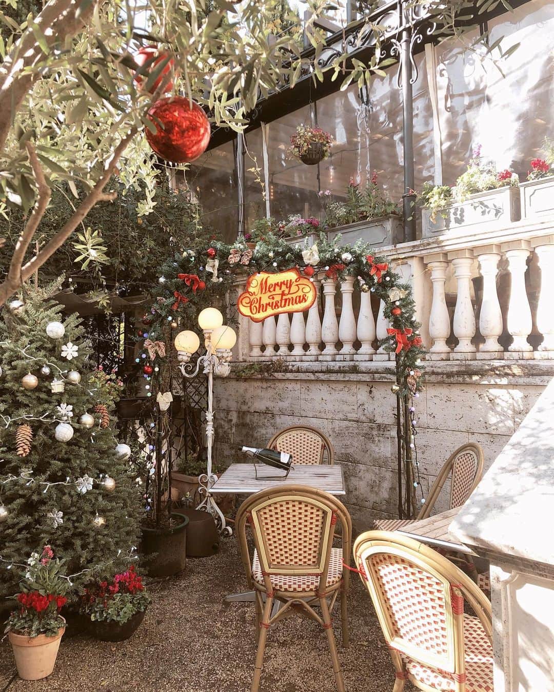 中世古麻衣のグルメインスタ