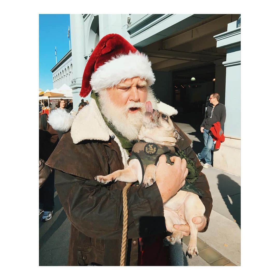 Melissa Santiagoさんのインスタグラム写真 - (Melissa SantiagoInstagram)「Santa Pig wishing everyone a happy day. Swipe to the end to see Leica meet (and oh boy did she greet) the big guy himself. #LeicaHarrietPancakes #DailyPug #Pug #pugsofinstagram」12月26日 1時48分 - shortformelissa