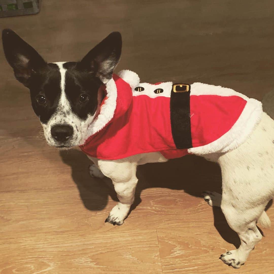 マーティ・スカルのインスタグラム：「Merry Christmas everyone 🎄🎄🎄 #villain ☔️」