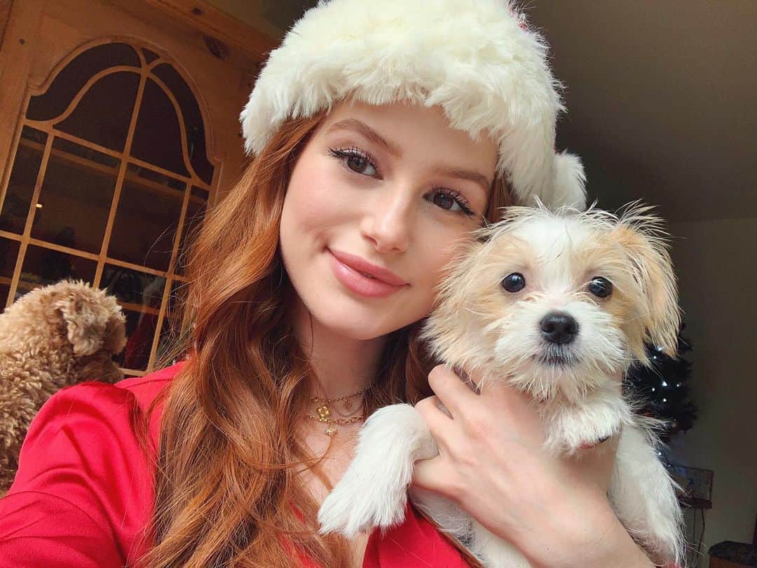 マデライン・ペッチさんのインスタグラム写真 - (マデライン・ペッチInstagram)「Merry Christmas 🎁🐶」12月26日 5時13分 - madelame