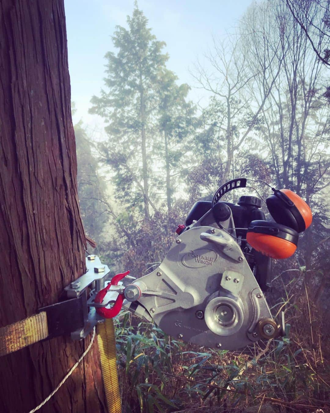 三宅洋平さんのインスタグラム写真 - (三宅洋平Instagram)「#treeclimber #woodcutter #jpn #okayama #jinja #ninja」12月26日 5時24分 - miyake_yohei