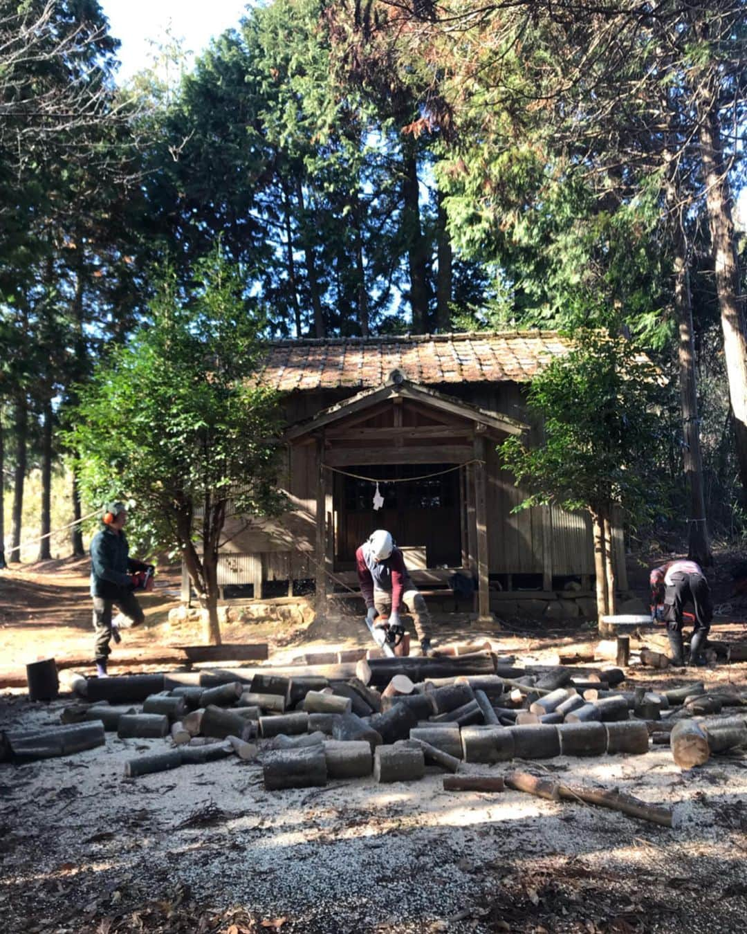 三宅洋平さんのインスタグラム写真 - (三宅洋平Instagram)「#treeclimber #woodcutter #jpn #okayama #jinja #ninja」12月26日 5時24分 - miyake_yohei