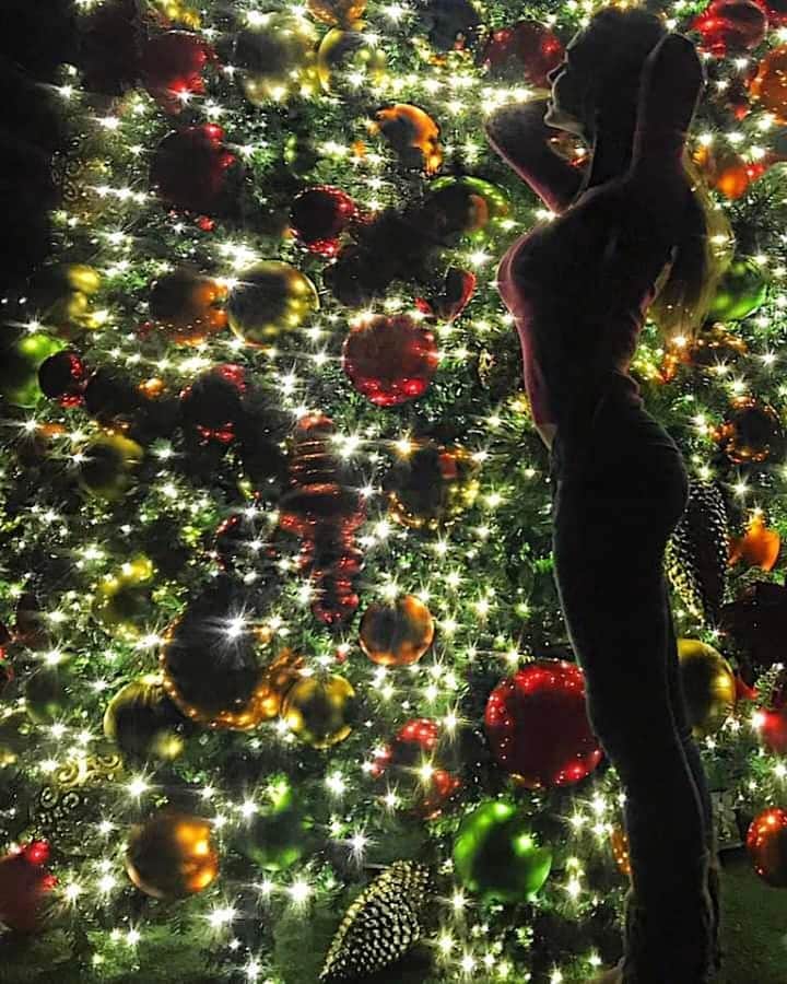 ジェシカ・アシュリーさんのインスタグラム写真 - (ジェシカ・アシュリーInstagram)「Merry Christmas 🎅🎄🎁❤🙏💫」12月26日 5時43分 - missjessicaash