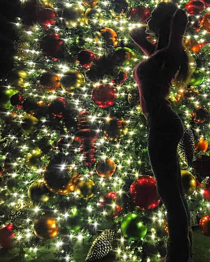 ジェシカ・アシュリーのインスタグラム：「Merry Christmas 🎅🎄🎁❤🙏💫」