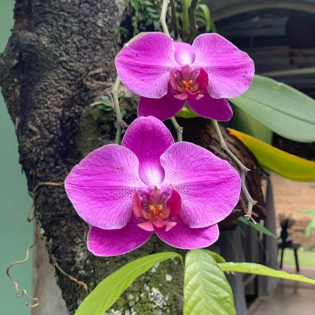 アンダーソン・クーパーさんのインスタグラム写真 - (アンダーソン・クーパーInstagram)「Feliz Natal from #Trancoso #Brazil! Hope you have a happy holidays.  For all those who have lost a loved one this year, or feel the loss of a loved one especially hard this time of year, I know it is not easy, and I am thinking of you.」12月26日 5時41分 - andersoncooper