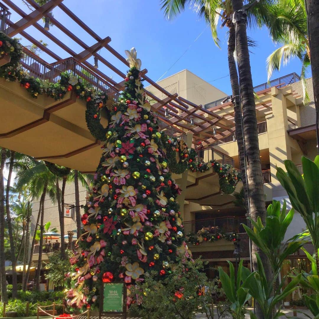 Belle Vie Hawaiiさんのインスタグラム写真 - (Belle Vie HawaiiInstagram)「Mele Kalikimaka🎄﻿ ﻿ ハワイは本日クリスマス✨﻿ 学校や銀行、郵便局はもちろん、﻿ 大きなショッピングセンターや﻿ レストランなどもお休みのところがほとんどですが﻿ ベルヴィーはいつも通り営業しています😘﻿ ﻿ Belle Vie Hawai’i﻿ ワイキキショッピングセンター1階﻿ 夜10時半まで営業✌️﻿ ﻿ 皆様、楽しいクリスマスをお過ごし下さい🎅﻿ ﻿ ﻿ ﻿ #belleviehawaii #hawaii﻿ #waikiki #waikikibeach﻿ #aloha #honolulu﻿ #hawaiichristmas﻿ #christmastree﻿ #melekalikimaka﻿ #oahuhawaii #oahulife﻿ #hawaiilife #honoluluhawaii﻿ #ハワイ #ベルヴィー﻿ #ハワイ旅行 #ハワイ好き﻿ #ハワイ大好き #アロハ﻿ #メレカリキマカ﻿ #ハワイのクリスマス  #ハワイ土産 #ハワイ行きたい﻿ #ハワイのお土産 #ハワイアン﻿ #ワイキキ #ワイキキビーチ﻿ #ホノルル #ハワイ生活﻿ #ハワイ好きな人と繋がりたい」12月26日 6時23分 - belleviehawaii