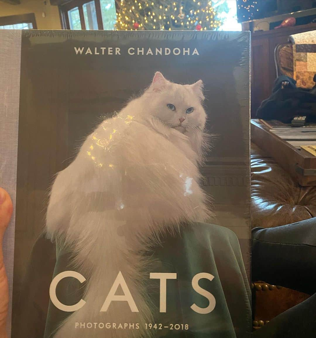 ダン・ビルツァーアンさんのインスタグラム写真 - (ダン・ビルツァーアンInstagram)「Did y’all get what you wanted for Xmas? I got a dab rig and a book of cats」12月26日 6時25分 - danbilzerian