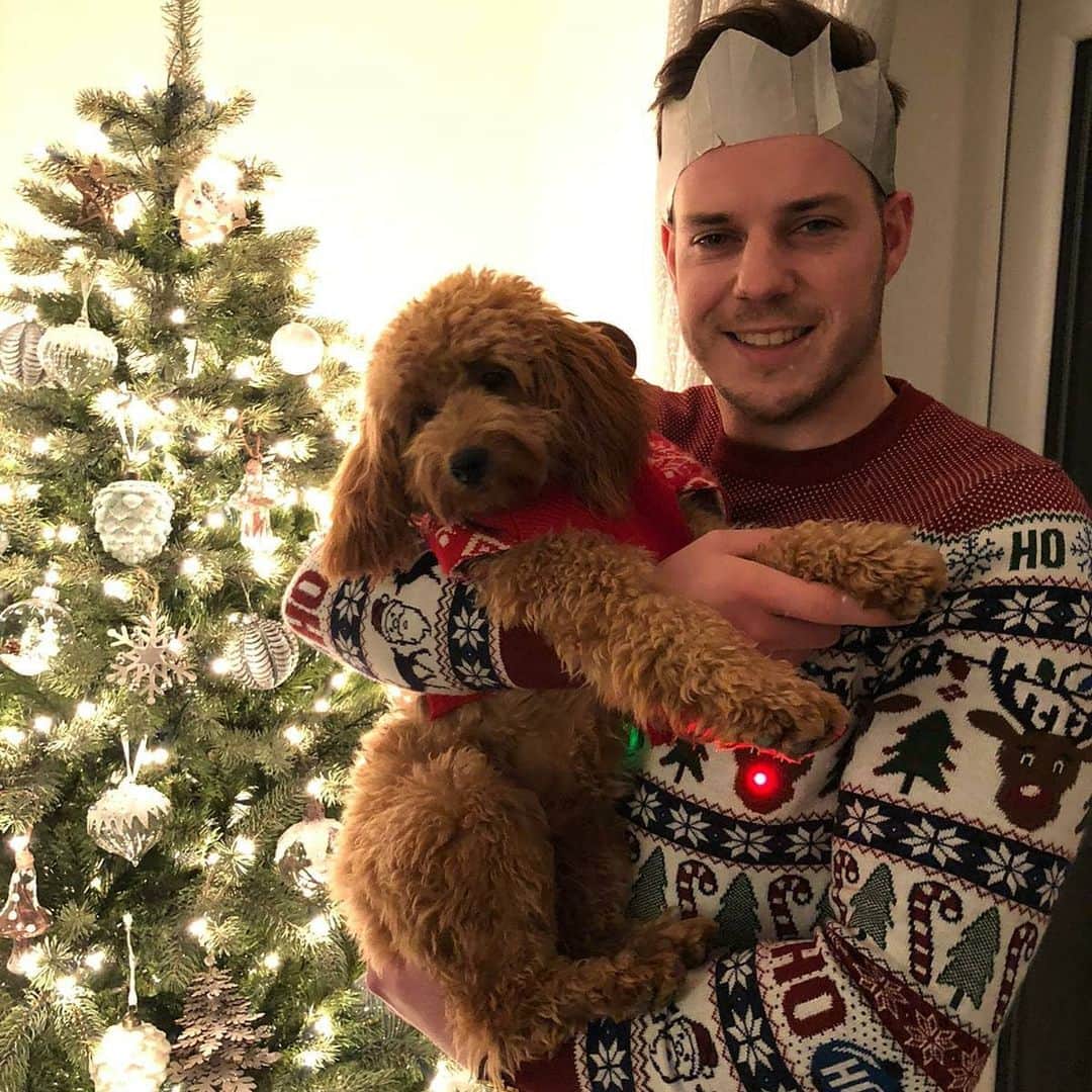 バスさんのインスタグラム写真 - (バスInstagram)「Merry Christmas 🎅🎄🦌 from Honey 🐩🦌 and myself! .  I hope everyone and had a great day with friends and family! 😄 .  Scroll to the end of you want to see what happens when my dad falls asleep around the dogs! 🙈🙊🙊😂 .  #instadog #instagood #dog #dogsofinstagram #twogaijin #xmasday #xmastree #cutedogs  #kawaii #minituregoldendoodle #facelicking #familygoals #tanoshinde #honey #instadog #doglovers #doglover #doglife #doggo」12月26日 7時16分 - basheemskerk_89