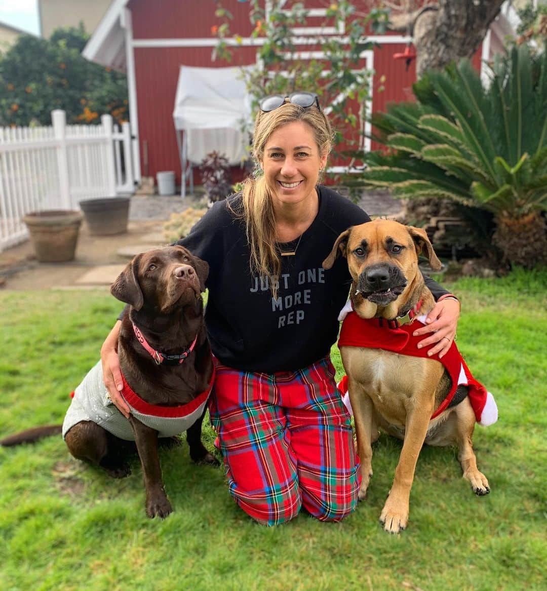 エイプリル・ロスのインスタグラム：「You could say this photo was a small kind of Christmas miracle ✨😉 (swipe for the process 😂) Merry merry from a coupl’a good girls and me! 🎁🎄Wishing you peace and joy today and always! 🙏🏼❤️ #ChristmasDoggos」