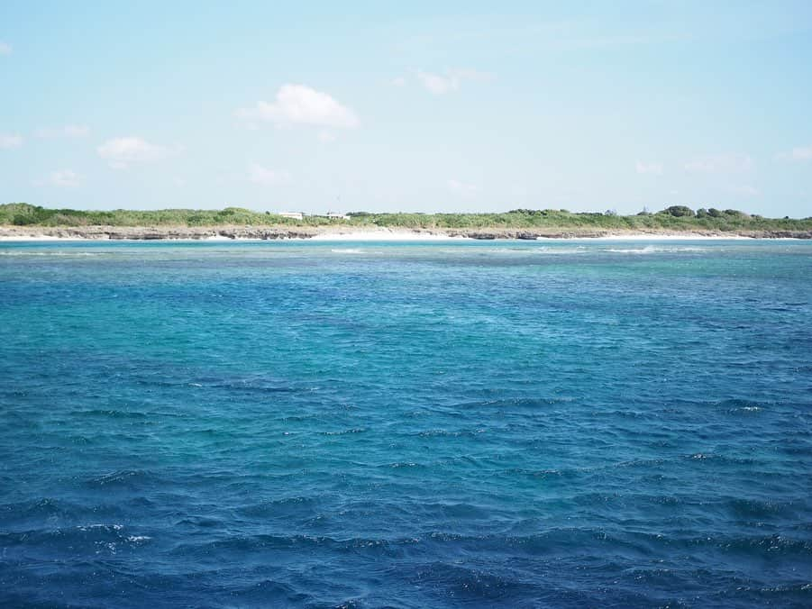 今井安紀のインスタグラム：「During this year, I went to Okinawa. The ocean was still beautiful.... 2019年某日、沖縄県内某所に行きました。 相変わらず海が綺麗。 (25mm)  #olympus #olympuspen #olympuspenepl9 #epl9  #ocean #nofilter #photolovers #noedit #surf #wave #okinawa #beautifulocean # #オリンパス #オリンパスPEN #加工なし #ミラーレス一眼 #写真撮ってる人と繋がりたい #海 #沖縄 #エメラルドブルーの海」