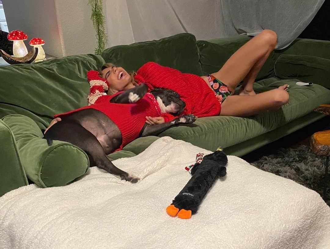 Janice Griffithのインスタグラム：「happy holidays from your favorite ham」