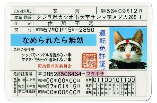 竹村真奈のインスタグラム：「都築響一さんの会員制メルマガ『ROADSIDERS' weekly 』でスナックアーバンのママに＜「ヤンキーメイト」発売記念、座談会（という名の飲み会）～あたしたち、いまだから言えるけど、ヤンキーが好き♡～＞という名のインタビュー（という名の飲み会）をしていただきました。秘蔵画像満載💜 . 『ティーンズロード』編集長の比嘉さんが出演した、2019年1月23日配信の「DOMMUNEスナック芸術丸/第五十三夜」～青森のBOROと暴走レディース・ナイト」も、読者限定公開してます。絶対観といたほうがいいやつです🇯🇵 . roadsiders.com . 【イベントのお知らせ】 2020年1月18日（土） 12：00〜東京カルチャーカルチャー（渋谷）にて🎌書籍『ヤンキ―メイト』発売記念トークイベント開催決定！ . 伝説のレディース雑誌『ティーンズロード』編集長、元女暴走族総長・すえこさん、ヤンキー大好き山下メロさんにご登壇いただきヤンキー文化について語ります😷🇯🇵 . 画像©️SATORU TSUDA  #ヤンキーメイト」