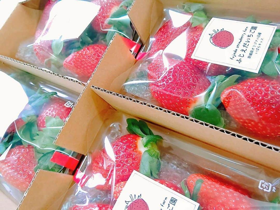 のインスタグラム：「今年も数々の賞を受賞した石岡の「藤枝いちご園」の美味しい苺😀  家族みんなで頂きます🍓  #ふじえだいちご園 #藤枝いちご園 #藤枝いちご #いばらきっす  #いちご #苺 #青山やまと #青山大人 #選挙区 #茨城6区 #土浦 #土浦市 #つくば #つくば市 #石岡 #石岡市 #かすみがうら #かすみがうら市 #つくばみらい #つくばみらい市 #小美玉 #小美玉」