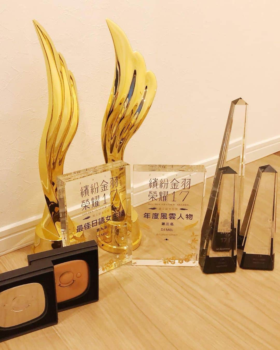 DJ MELのインスタグラム：「I have received many awards this year because of my fans!Thank you all so much😊Through 17live, I would like to reach more people in the world 🌍💓 . みんなの応援のおかげで、2019年ライブ配信でたくさんの賞を受賞する事が出来ました💕いつも本当に、応援ありがとう🐶❤️ライブ配信を通して、もっと世界中の多くの人に私の事を知って欲しいです！ . #17live #livestreamer #livestream #livestreamlife #イチナナライブ #17直播」