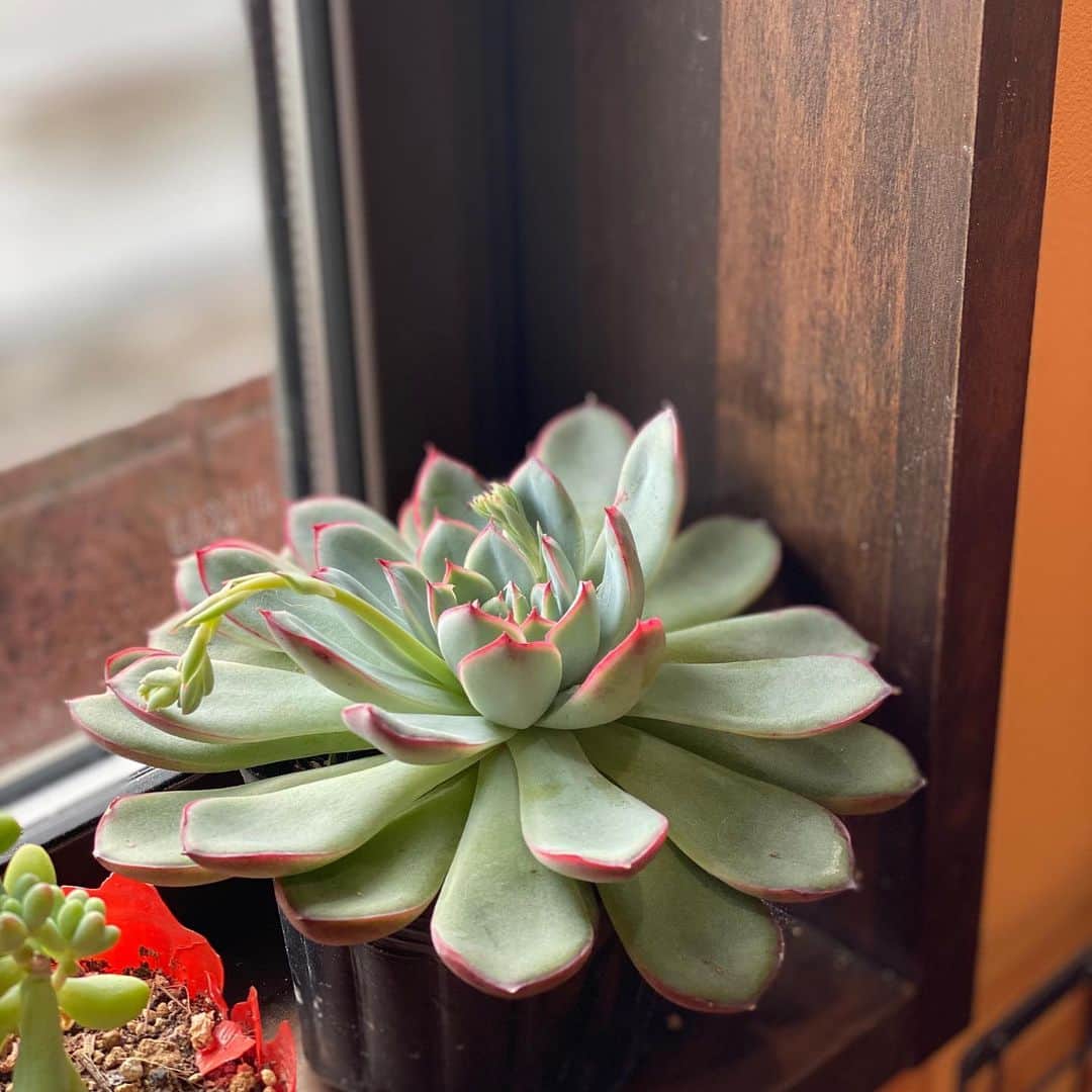 魔女菅原のグルメインスタ