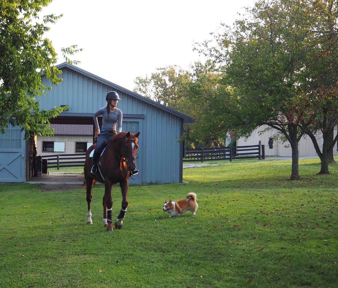 ジュディ舞衣のインスタグラム：「https://retraning-jra.jp/  The project I have been working on was so close to my heart and is now ready to share to the world🌏🐴 There are an estimated 7000 thoroughbreds produced in Japan every year. They are trained to race but what do they do after they retire at ages 3-5 when they have an average lifespan of 20-25 years? Japan has had huge issues for retired racehorses as there are not enough opportunities for second careers. I have ridden thoroughbreds all my life and hope that the website/videos can help raise awareness and cause action to save more horses coming off the track. Thank you @isabela_desousa @newvocationsracehorseadoption @ckyrh and others for all your help!!! Please watch and feel free to share (find me galloping around on a big red Giant😉) ． ． 過去数ヶ月作っていたプロジェクトがついに完成しました！日本では年間約7000頭のサラブレッドが生産され競走馬になり、若いうちに引退してしまいますが馬の平均寿命は20-25歳。競馬を引退した馬たちはセカンドキャリアへのリトレーニングなしには行き場がないのです。日本でもより乗馬人口が増えて、馬や動物のウェルフェアへの関心や行動を増やさないと現状を変えることが出来ません。馬に興味がある人、競馬が好きな人に限らず是非サイトを見てみてください✨　私もちょこっと写ってたりします🙈 ． ． #diversehorsesdiversegoals #thoroughbreds #retiredracehorse #jra #引退競走馬　#リトレーニング」