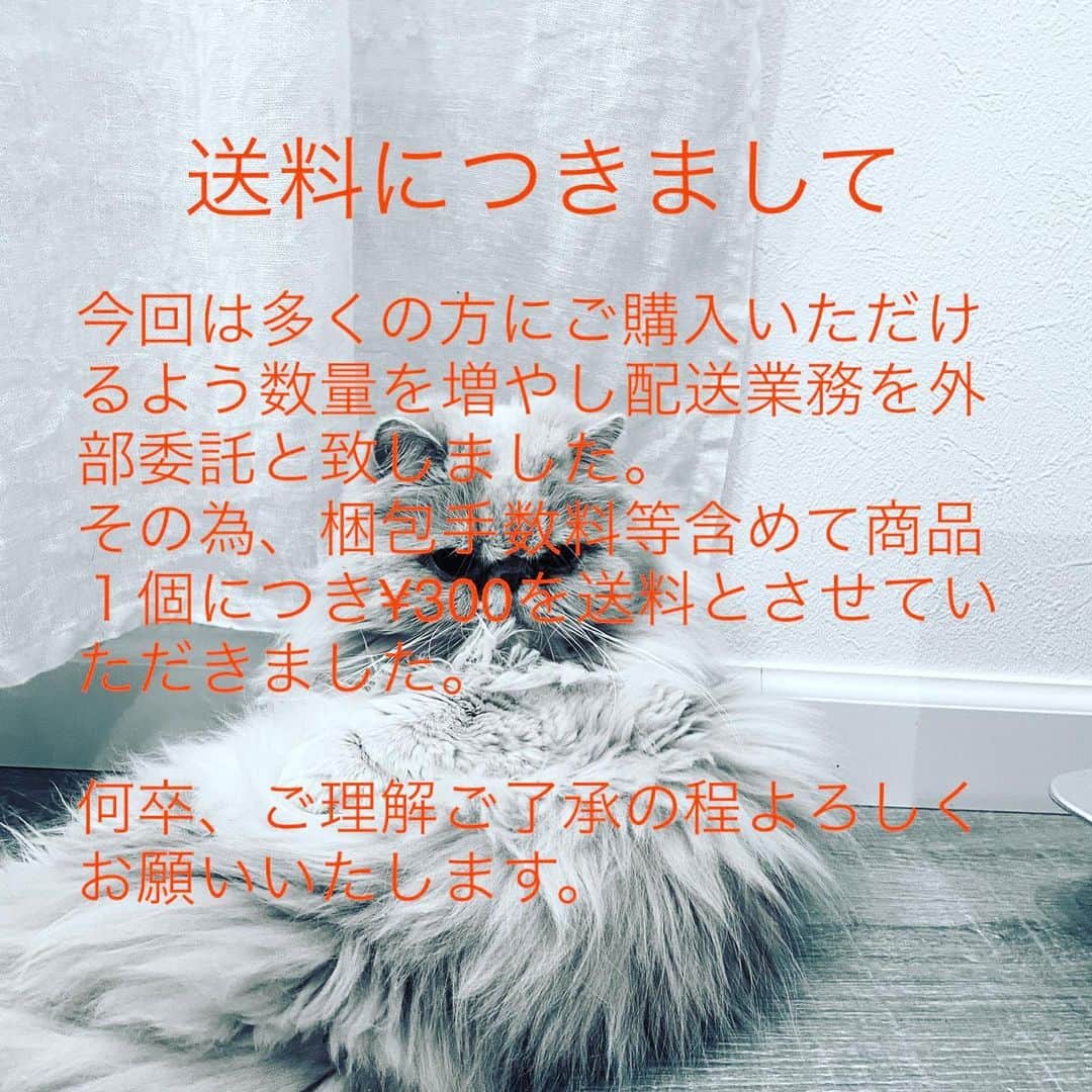 ミッシュのインスタグラム