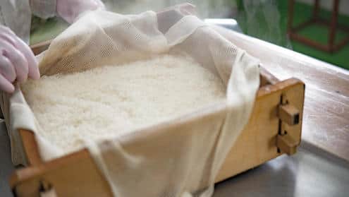 Komerco-コメルコ-さんのインスタグラム写真 - (Komerco-コメルコ-Instagram)「. 今の季節限定！KUMADA FARM @kumada_suzuka の杵つき餅。 KUMADA FARMが求める風味や、雑煮などに入れても型崩れしにくい弾力性のある餅が作れるように…と栽培するもち米の品種選びから考えて作られた、まさに米農家さんのこだわりが詰まったお餅です✨ こちらは12月28～30日発送の受注商品となりますので、お早めにご注文くださいね！ . ------------------------------- KUMADA FARM／◆正月限定◆米農家の"杵つき餅”　【切り餅約30枚】 . ▷こちらの作品はKomercoアプリでクリエイターから直接ご購入いただけます。 アプリ内「さがす」で「KUMADA」と検索してください🔎 . ▷iOS版Appダウンロードはプロフィールリンクから📲 @komerco_official ------------------------------- . #komerco #コメルコ #cookpad #クックパッド #komercoごはん #料理をもっと楽しく #いつものいただきますを楽しく #おうちごはん #おうちごはんlover #instafood #foodpic #cookinglove #手しごと #komercoフード #お取り寄せ #お取り寄せグルメ #三重 #鈴鹿 #kumadafarm #米農家 #餅 #お餅 #季節限定 #期間限定 #お雑煮 #焼き餅#かぐら餅 #正月 #MOCHI」12月26日 10時15分 - komerco_official