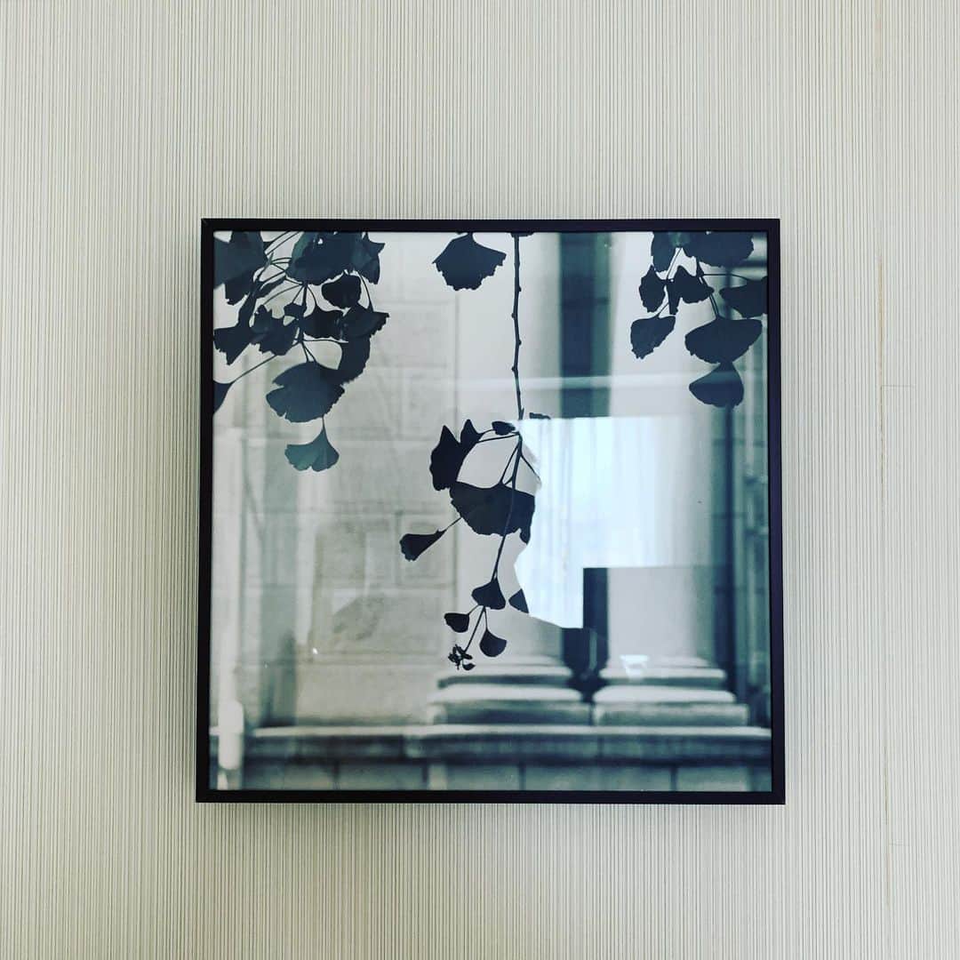 奇妙礼太郎さんのインスタグラム写真 - (奇妙礼太郎Instagram)「#本日のホテル絵画  #8月5日と同じ部屋なんかな #同じ絵なだけかな 今日は京都でライブです。」12月26日 10時53分 - reitaro_strange