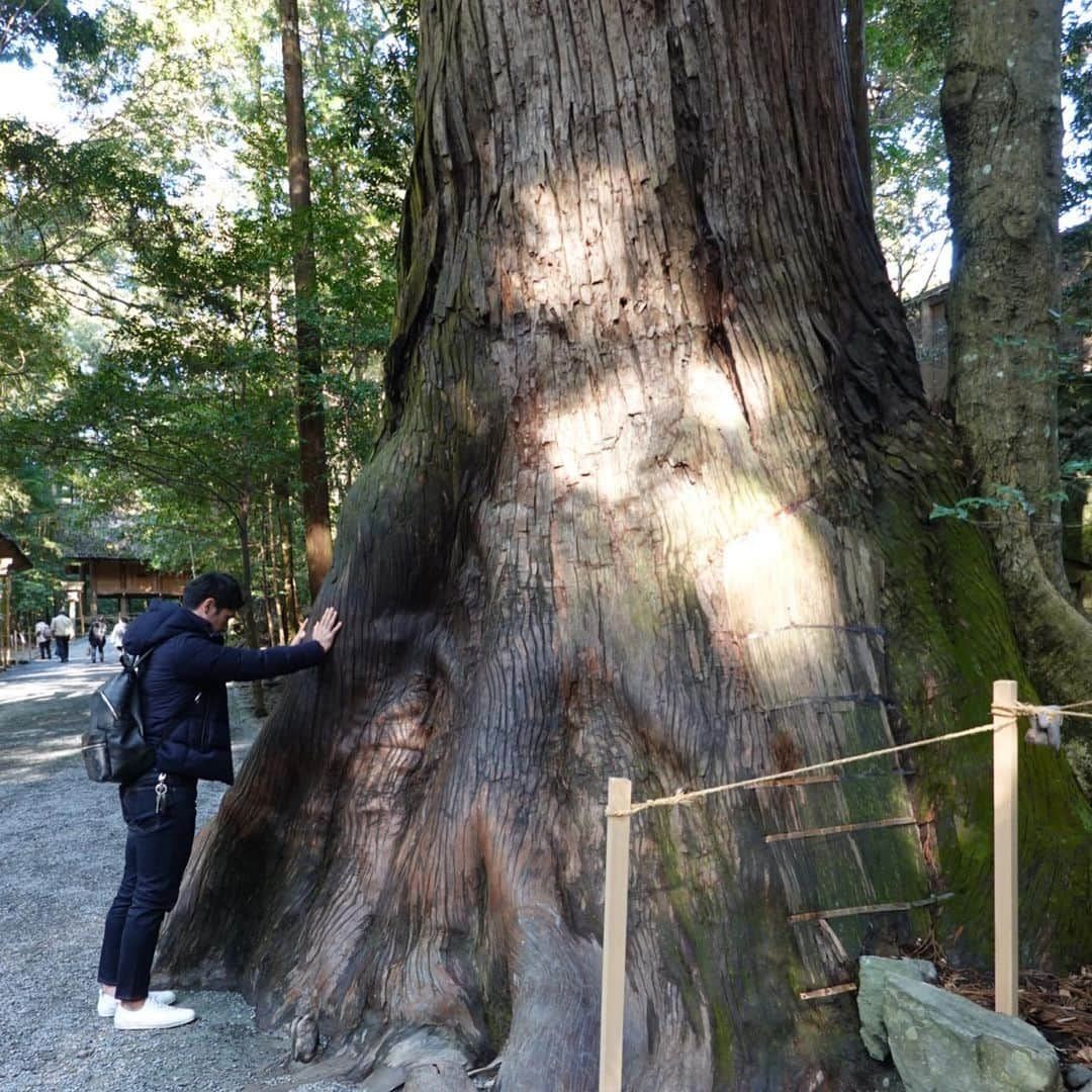 近本光司さんのインスタグラム写真 - (近本光司Instagram)「3日間の家族旅行してきました😆 1年間の慰労を込めて、妻には美味しいものを食べてもらい、ゆっくりしてもらいました🎉 ホテルの方々から素敵なプレゼントも頂けました🎁これ指で描いてるみたいです😳 また来年も楽しい旅行ができるように頑張ります✨」12月26日 10時59分 - koji_speed5