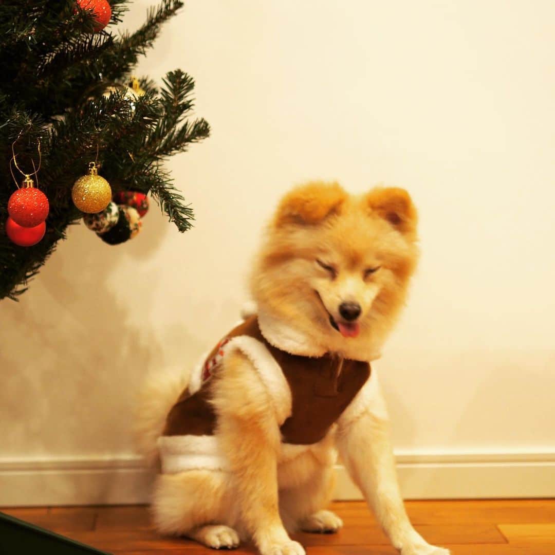 水野良樹さんのインスタグラム写真 - (水野良樹Instagram)「クリスマス終わっちゃった。」12月26日 12時27分 - mizunoyoshiki_teke
