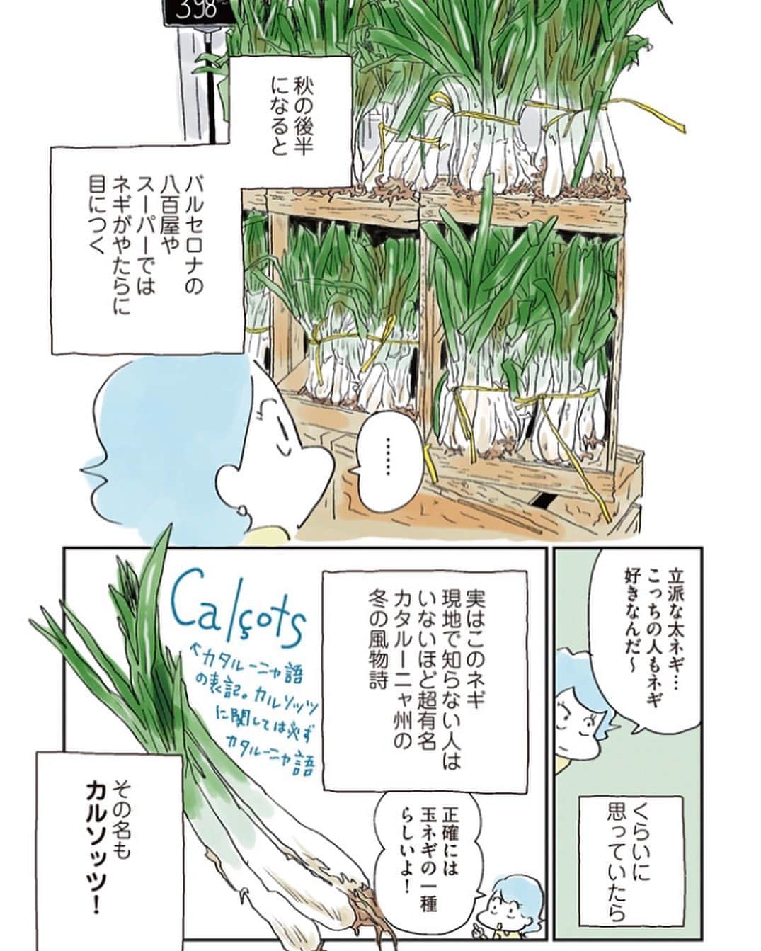 カワハラユキコのインスタグラム：「【カタルーニャの冬といえばネギ祭り！】Calçots！This is the winter speciality of  Cataluña！ 🇪🇸 スペイン旅ごはん連載のその4はカルソッツ！ こんなに楽しいネギワールドがカタルーニャにはあるのです。 バルセロナ市内のオススメカルソッツ店も紹介したよ〜。(グエル公園近くのあの店が閉業してたのは残念〜。便利な場所だったのに😭) 🇪🇸 マンガのつづきはプロフィールのリンクから👉 🇪🇸 #オラスペイン旅ごはん #スペイン  #バルセロナ  #カタルーニャ #スペイン料理  #スペインバル  #スペイン旅行  #スペイン語  #ねぎ  #カルソッツ  #カルソッツ祭り  #食いしん坊  #飲酒タグラム  #spain  #barcelona #calçots  #valles」