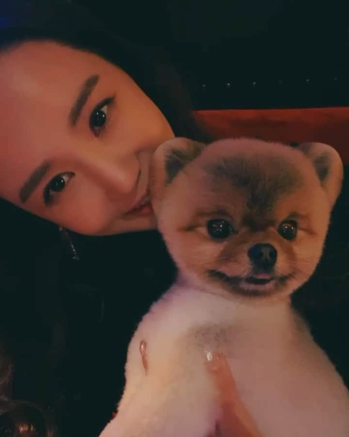 イ・ダヘのインスタグラム：「너무 예뻐서 그랬어..귀찮았다면 미안해.. 그렇다고 그렇게 나만보면 숨고 도망가지마.. 마음이 슬퍼 🤣🤣🤣🤣 #강아지 #그레이튼의 #크리스마스에 #안좋은추억」