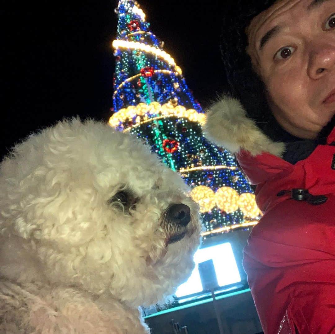 山内要さんのインスタグラム写真 - (山内要Instagram)「ほぼ同じ髪型の犬ちゃんが🐶わざわざ会いに来てくれたばい♪#慶徳二郎 #犬ちゃん」12月26日 13時55分 - keitokujiro