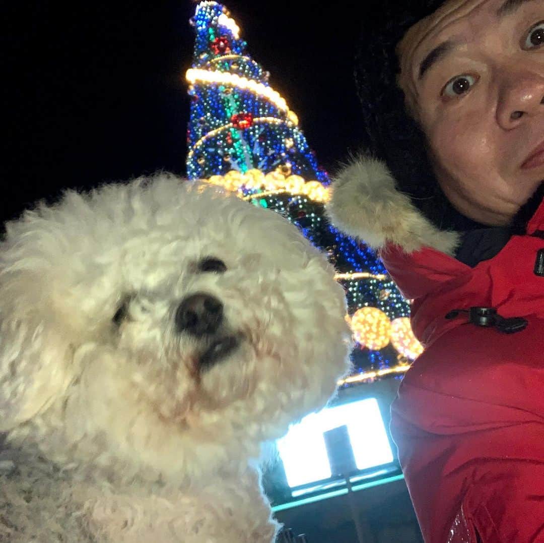 山内要さんのインスタグラム写真 - (山内要Instagram)「ほぼ同じ髪型の犬ちゃんが🐶わざわざ会いに来てくれたばい♪#慶徳二郎 #犬ちゃん」12月26日 13時55分 - keitokujiro