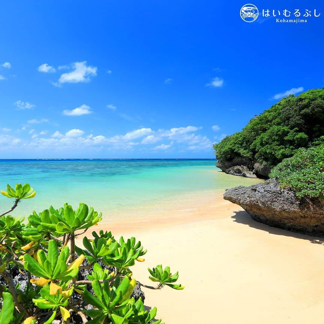 HAIMURUBUSHI はいむるぶしさんのインスタグラム写真 - (HAIMURUBUSHI はいむるぶしInstagram)「ここ数日暖かな日が続いている八重山諸島。青空が広がった日は海もより青く煌めき魅惑的な海景が広がります。 #沖縄 #八重山諸島 #石垣島 #ビーチ #砂浜 #海 #小浜島 #リゾート #はいむるぶし #japan #okinawa #yaeyamaislands #ishigakiisland #beach #bluesea #lastsummer #kohamaisland #beachresort #haimurubushi」12月26日 16時38分 - haimurubushi_resorts