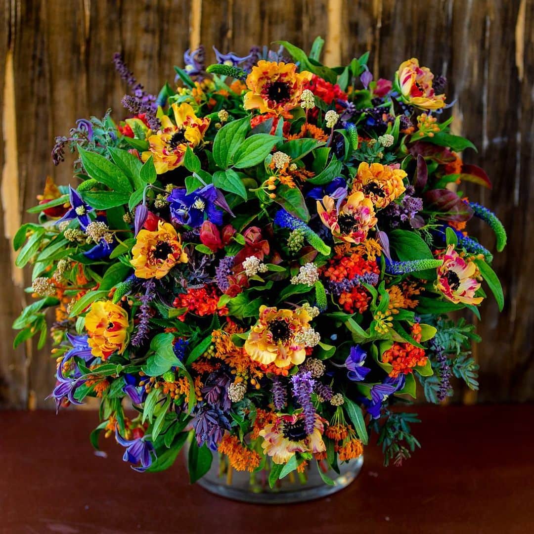 ニコライ・バーグマン・フラワーズ＆デザインさんのインスタグラム写真 - (ニコライ・バーグマン・フラワーズ＆デザインInstagram)「Vivid color bouquet 🧡💜#nicolaibergmann #bouquet #ニコライバーグマン #ブーケ」12月26日 16時45分 - nicolaibergmann