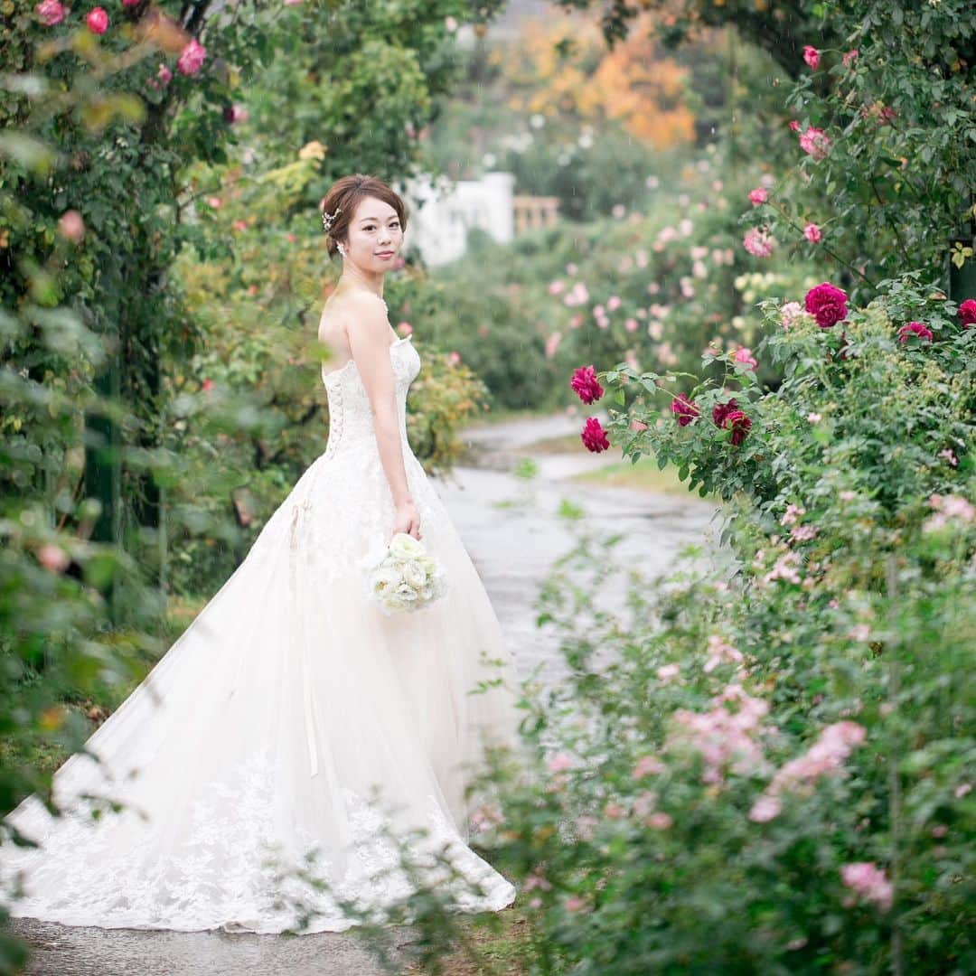 ラヴィ•ファクトリーさんのインスタグラム写真 - (ラヴィ•ファクトリーInstagram)「@laviefactory * 女性らしさを最大限に 演出してくれる ピンク×赤のお花で 彩られたロケーション❁* 甘く夢のような時間を 存分にご堪能くださいませ。 —————— ラヴィファクトリー千葉店: @chiba_laviephotography Photographer:@kanae_photography AREA:JAPAN,CHIBA —————— @laviefactoryをフォローして #laviefactory #ラヴィファクトリー のハッシュタグをつけて お写真を投稿してみてくださいね✳︎ . こちらの公式IG（@laviefactory） で取り上げさせていただきます✨ #wedding#weddingphotography #laviefactory #photo#生きる写真#ハートのある写真 #instawedding#結婚写真#ウェディング #ウェディングフォト #撮影指示書#ロケーションフォト #前撮り#プレ花嫁 #結婚準備#写真好きな人と繋がりたい #フォトウェディング#卒花 #おしゃれ花嫁#前撮り#後撮り #ウェディングニュース #花畑 #花フォト #小枝アクセサリー」12月26日 16時50分 - laviefactory