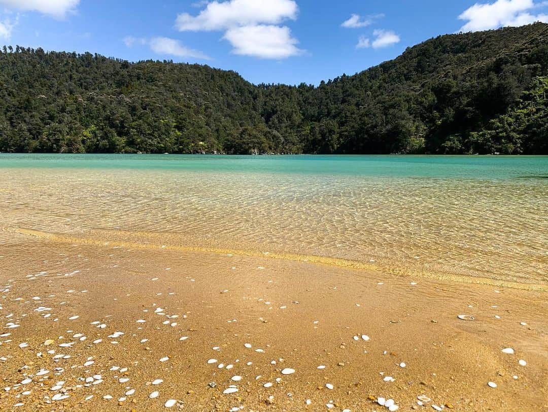 アルメン・アブディさんのインスタグラム写真 - (アルメン・アブディInstagram)「Earth, Sea & Sky tour at Abel Tasman 🇳🇿 😍 #abeltasmankayaks」12月26日 16時59分 - abdi.almen