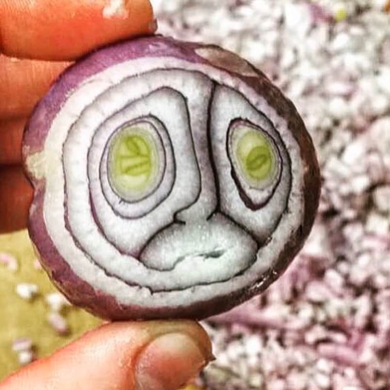 uglyfruitandvegさんのインスタグラム写真 - (uglyfruitandvegInstagram)「Onion is not so sure about working during the holidays. Onion would rather be on the couch relaxing...... #TBT IG Pic by @labear11」12月27日 2時26分 - uglyfruitandveg
