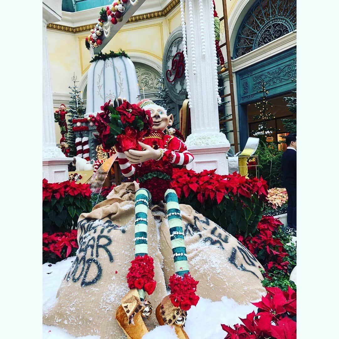 村主章枝さんのインスタグラム写真 - (村主章枝Instagram)「It was such a beautiful decoration at Bellagio and Aria🎄❤️🐒 ベラージオとアリアホテルのクリスマスデコレーションは本当に素敵でした🎄❤️🐒 #christmastree  #bellagio  #aria」12月27日 2時34分 - fumie.suguri