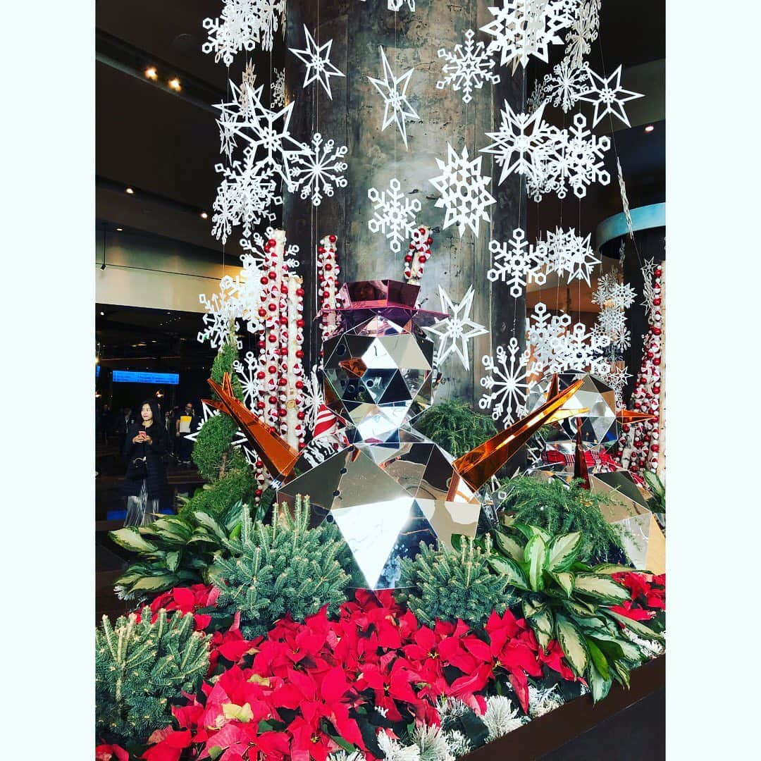 村主章枝さんのインスタグラム写真 - (村主章枝Instagram)「It was such a beautiful decoration at Bellagio and Aria🎄❤️🐒 ベラージオとアリアホテルのクリスマスデコレーションは本当に素敵でした🎄❤️🐒 #christmastree  #bellagio  #aria」12月27日 2時34分 - fumie.suguri