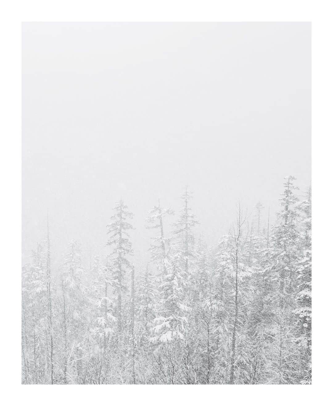 Cory Staudacherのインスタグラム：「Snow」