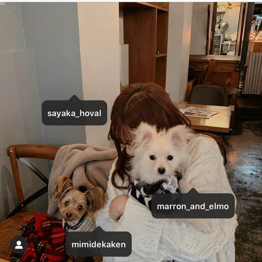 山本 絵里加のグルメインスタ