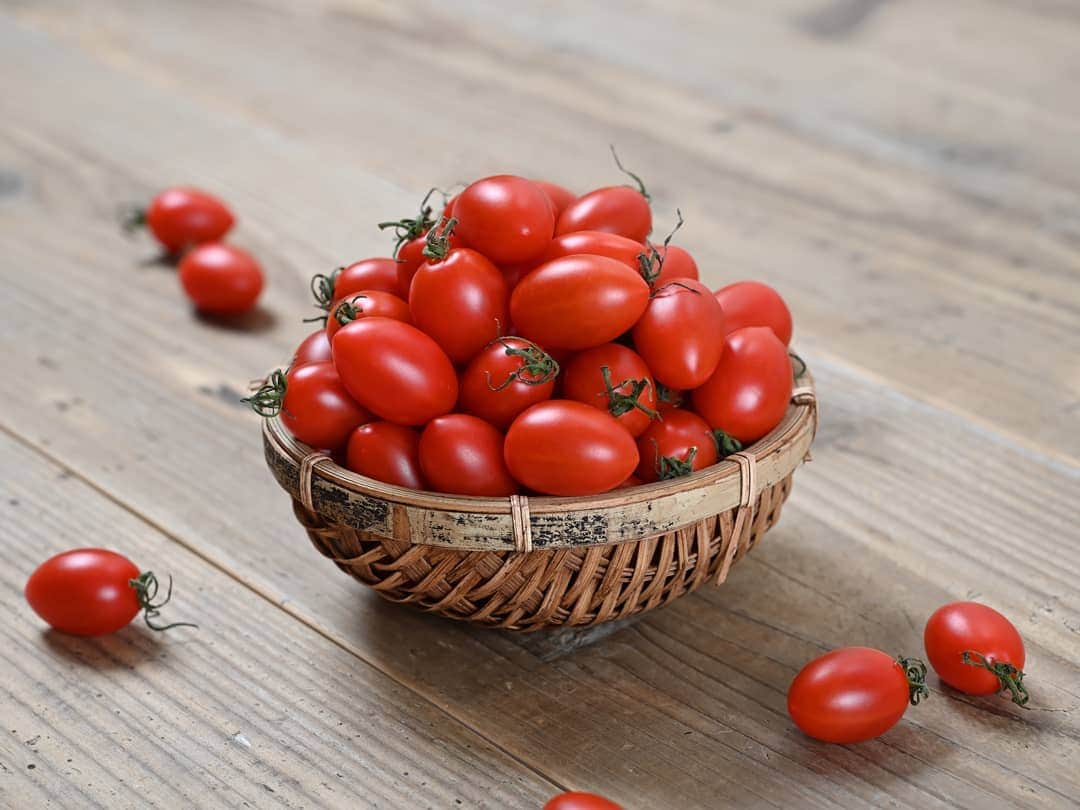 ＯＳＭＩＣ【オスミックトマト公式】さんのインスタグラム写真 - (ＯＳＭＩＣ【オスミックトマト公式】Instagram)「﻿ ﻿ ﻿ 🍅トマトは、かつて「毒リンゴ」と呼ばれていた🍅﻿ ﻿ - トマトの歴史 -﻿ ﻿ ﻿ 現在、栄養価も高く、どのご家庭でも大人気のトマト。﻿ このトマトが、かつては毒があるから食べてはいけないとされていたんです！﻿ ﻿ ヨーロッパで食用として普及したのは18世紀ごろからとされており、それまでトマトは「毒リンゴ」と呼ばれていたそうです。﻿ ﻿ なぜ、毒があると言われていたのか。﻿ ﻿ 当時使用されていた「鉛の食器」にトマトの酸性が反応して、鉛の毒が溶け出し、それがトマトの毒だと勘違いされたそうなのです！﻿ ﻿ 誤解は解けたものの、猛毒を含んでいる「ペラドンナ」という植物に似ていたため、嫌厭されておりました…。﻿ ﻿ そこから時間が経ち、トマトに毒がないことが分かり、ようやく食べられるようになったんです💡﻿ ﻿ ﻿ 日本にトマトが入ってきたのは17世紀ごろ。﻿ 当初はヨーロッパと同じように鑑賞に使われており、食用されたのは江戸の終わり頃から明治以降。﻿ ﻿ 本格的に食べられるようになったのは、なんと昭和なんだそうです！😳﻿ ﻿ 意外とトマトは最近の野菜だったのですね・・・💡﻿ ﻿ ﻿ ﻿ ‐-------------------------------﻿ ﻿ ﻿ @osmic_jp　では様々なトマトについてを定期的に発信していきます🙌﻿ トマトについて気になることなど、お気軽にコメントしてください😌﻿ ﻿ ﻿ #OSMIC #OSMICトマト #フルーツトマト #高糖度トマト #オスミック #オスミックトマト #OSTOMAGRAM #オストマグラム #ミニトマト #野菜好き  #デリスタグラマー #野菜のある生活 #リコピン #トマト好き #雑学」12月26日 19時26分 - osmic_jp