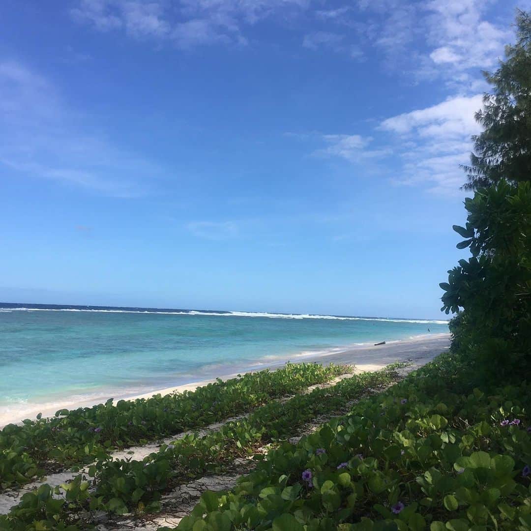 ヒロ寺平さんのインスタグラム写真 - (ヒロ寺平Instagram)「Guam最後の日。 今日はドライブ150kmぐらいと金環日食を楽しんだ。  朝ボンネットの上にいたバッタくん。 ずっとボンネットにへばりついて100kmぐらいは僕とドライブを楽しんだ。 途中、あんまり可哀そうなので怖かったけど足をつまんで草むらに返してあげた。  なんかとってもうれしそうだった。  先ず向かったのは最北端のリティディアン・ポイントの美しかった事！ Guamに来ることがあったらここまで来て1日ビーチでぼんやりする価値あり！  そしてそこから最南端近くのマゼラン上陸記念碑を見に行った。 知ってた？マゼランがGuamを発見したって！俺、知らんかった。 ここの画像を削除してしまったので、詳しくはYouTubeで見てちょ。  それから上に戻る途中の「熊岩」。 確かに後ろ足立ちしている熊に見えた。わらた。  そしてタモン湾に戻って4時56分の金環日食を待った。 水に膝まで浸かってじっとその時を待った。  そしてやって来た4時56分、iPhoneの写真ではただの太陽に見えるけど、サングラス越しには本当に綺麗な輪っかが見えた。  もの凄く神秘的で、もの凄くいいものを見る事が出来た。 この「金環日食」、僕は全く知らなかったけどどなたかが書いてくれたコメントで知った。  ほんと、繋がってるなぁと心から感じた出来事だった。  その後、夕日を眺めて最後の晩飯に。  長い1日だった。 明日は帰国。  #ヒロ寺平 #ヒロT」12月26日 20時21分 - hiroteradaira
