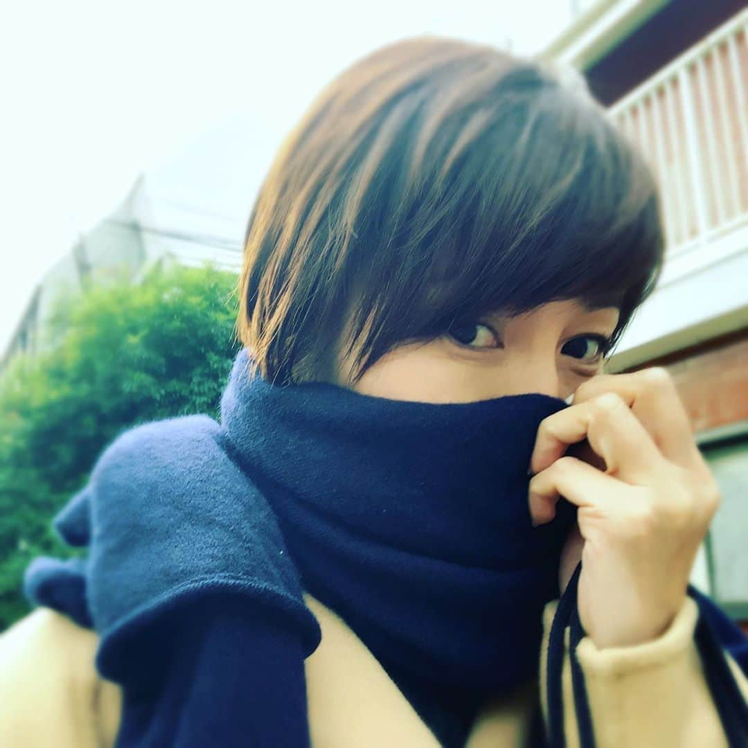 渡辺満里奈さんのインスタグラム写真 - (渡辺満里奈Instagram)「髪切りました✂︎ お久しぶりのショート。 冬は髪を短くしたくなる季節☃️ タートル着て、ストールぐるぐる巻く。なので小気味いいショートが恋しくなる。 変化したくなる。 凝り固まったものを落としたくなる。潔く。 冬はそんな季節。 ★ @twiggy.miho  #カット早くて気持ちいい」12月26日 20時47分 - funnyfacefunny