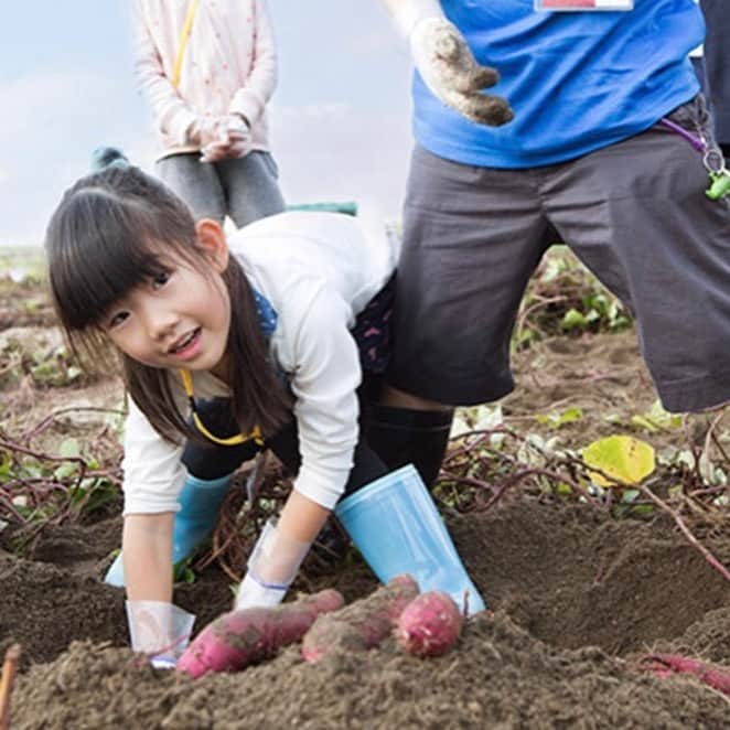 柏の葉 T-SITEのグルメインスタ