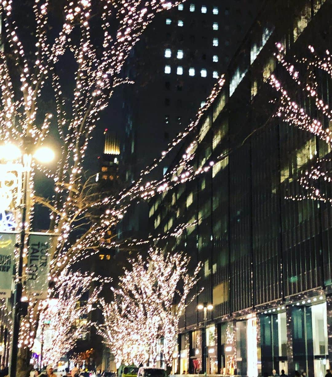 富田麻帆さんのインスタグラム写真 - (富田麻帆Instagram)「有楽町のイルミネーション綺麗だった〜♡ 街のキラキラを見ると、冬って感じるね✨」12月26日 21時37分 - maho_tomita6261