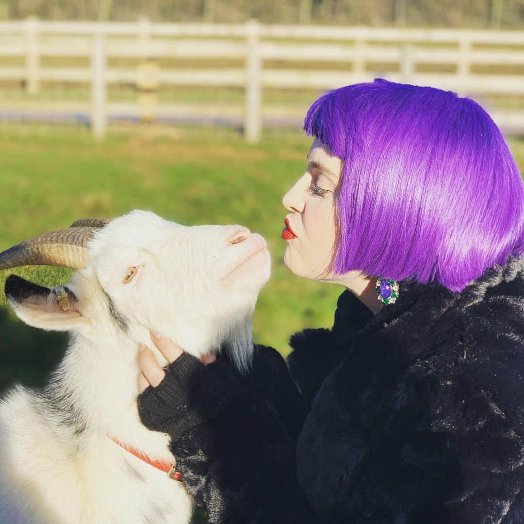 ケリー・オズボーンさんのインスタグラム写真 - (ケリー・オズボーンInstagram)「I kissed a goat and I liked it!!! 🐐 💜」12月26日 22時00分 - kellyosbourne