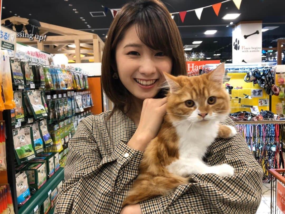 尾島早都樹のインスタグラム：「きょうのお仕事中の１コマ。 ほんとーーに癒された☺️ . . #チューリップテレビ #アナウンサー #特番ロケ #ねこ #ネコ #ワンちゃんも #抱っこ #🐈 #🐩」