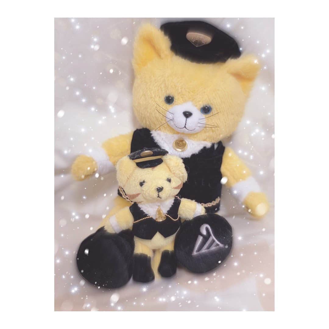 夢月せらのインスタグラム：「念願すぎたCATS  チケット全然取れなくて観に行く予定なんてなかったのに、偶然チケット取れて、仕事も空いて。ラッキー重なり観劇できました😭  本当に劇団四季の舞台は老若男女楽しめて最高だなと。 オープニングからうるうる🥺してしまいました😭  全国追いかけて観劇しちゃうくらい大好きで大好きなCATS。  どの猫さんも好きなのですが。宝塚の退団公演、風と共に去りぬで機関士の役をさせて頂いてから、スキンブルシャンクス(鉄道猫)がお気に入りになりまして❤ 手前にいるチビスキンブルさんは宝塚卒業してすぐ福岡で公演していたCATSを観劇した時にうちに仲間入りをしたのですが。 今回、、なんと大きいスキンブルさんが!!!!! 新たに仲間入りし、機関士コーナーの一員となりました🥰👏 #劇団四季 #cats」