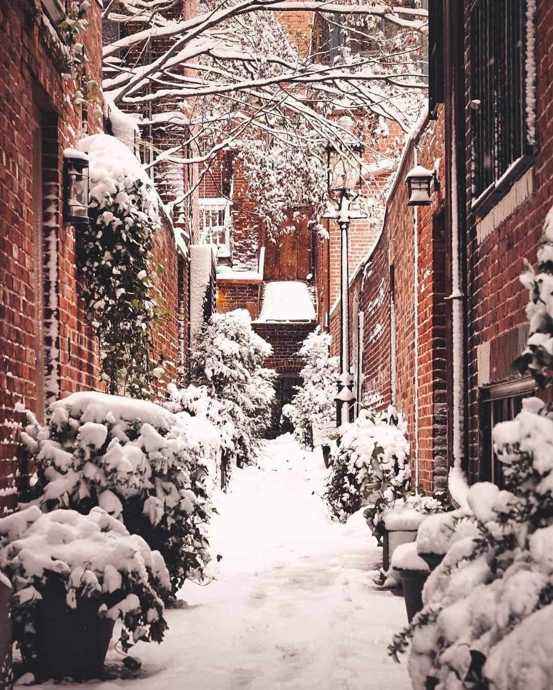 Travel + Leisureさんのインスタグラム写真 - (Travel + LeisureInstagram)「Boston is just magical under a blanket of snow. Get our guide to 11 can't-miss points of interest in Boston at the link in bio. #tlpicks courtesy of @brianmcw」12月26日 23時05分 - travelandleisure