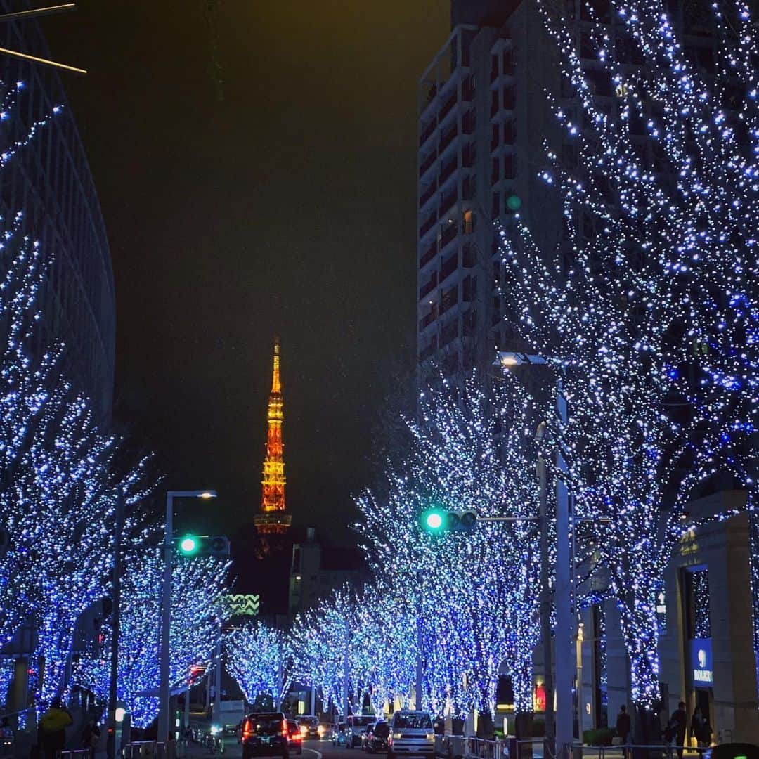 土屋太鳳さんのインスタグラム写真 - (土屋太鳳Instagram)「クリスマスも過ぎて いよいよ年末！！！ 少しずつゆっくり出来そうなかた、 これからが忙しいかた、 進路など大切な節目に向かうかた、 人それぞれの過ごし方があると思うのですが どうか身体にだけは気をつけて 充実した時間をお過ごしください🙏✨ . そんな年末に、来年へ向けての とてもとても嬉しいお知らせを😊 . 池井戸潤先生の小説『鉄の骨』を原作とした 2020年4月スタートの『連続ドラマＷ 鉄の骨』に 野村萌役として出演いたします！ WOWOWプライムでの放送です。 ４年ぶりのWOWOWさんの現場、 とても嬉しい✨ . 主演は ずっとご一緒したかった #神木隆之介 さん。 映画「るろうに剣心」の 京都大火編と伝説の最期編で 御一緒したことはあるのですが あまりにも短時間だったので いつかもっと長く御一緒したくて。 だからすごく嬉しいです！ . キャストの方々も発表されて 尾形総司役に #内野聖陽 さん、 西田吾郎役に #中村獅童 さん、 柴田理彩役に #小雪 さん、 私が演じる萌の上司、 園田俊一役に #向井理 さん、 三橋萬造役に #柴田恭兵 さん、 そして、内藤肇役に #石丸幹二 さん。 凄いです…書いてるだけで震えそう。 . 私が演じる萌は、かなりの曲者な予感。 心して立ち向かいたいと思います。 . 今日は ちょっと東京らしい写真を✨」12月26日 23時26分 - taotsuchiya_official